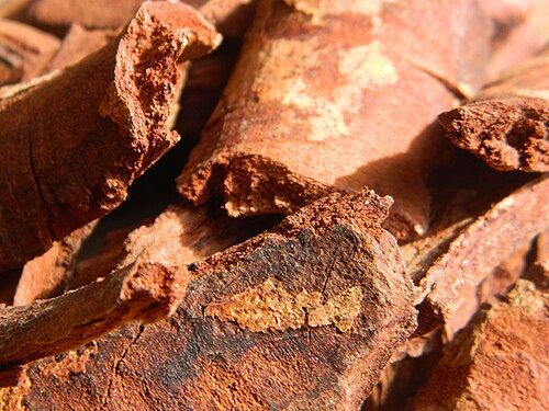 Chuchuhuasi (Maytenus macrocarpa): cut pieces of bark