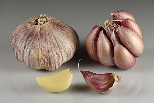 Garlic (Allium sativum): bulb and cloves