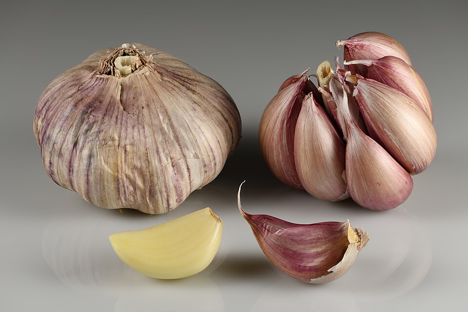 Garlic (Allium sativum): bulb and cloves