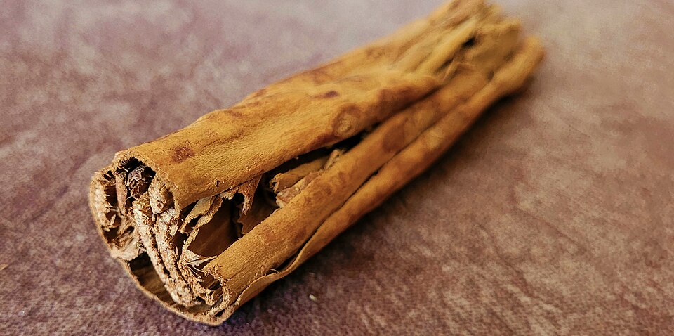 Cinnamon (Cinnamomum verum): dried, rolled cinnamon bark