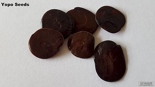 Yopo (Anadenanthera peregrina): flat seeds